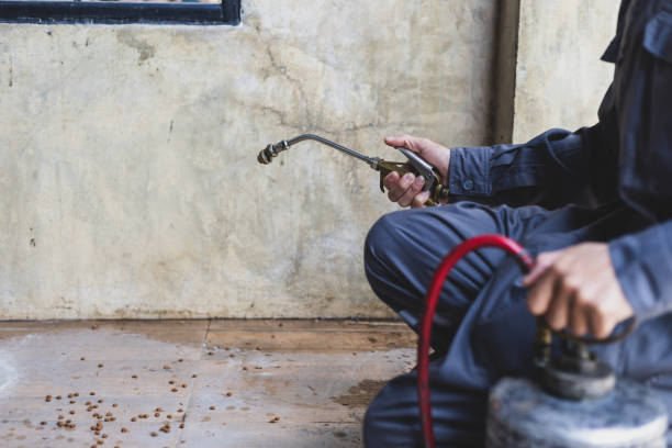 Best Emergency Pest Control  in Brooklyn, NY